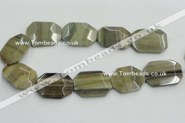 CSL08 15.5 inches 30*40mm octagonal silver leaf jasper beads wholesale