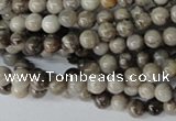 CSL10 15.5 inches 4mm round silver leaf jasper beads wholesale