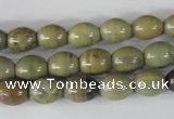 CSL103 15.5 inches 8*10mm rice silver leaf jasper beads wholesale