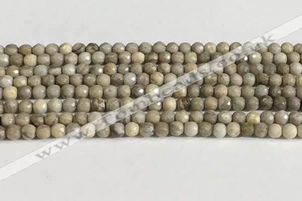 CSL156 15.5 inches 4mm faceted 

round sliver leaf jasper beads