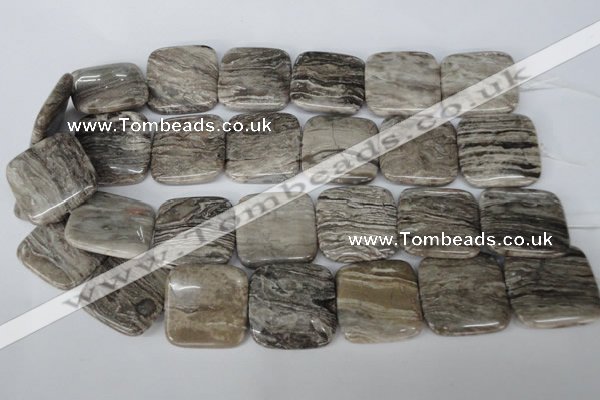 CSL57 15.5 inches 30*30mm square silver leaf jasper beads wholesale