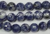 CSO303 15.5 inches 10mm faceted round Brazilian sodalite beads