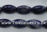 CSO359 15.5 inches 11*18mm trihedron natural sodalite beads