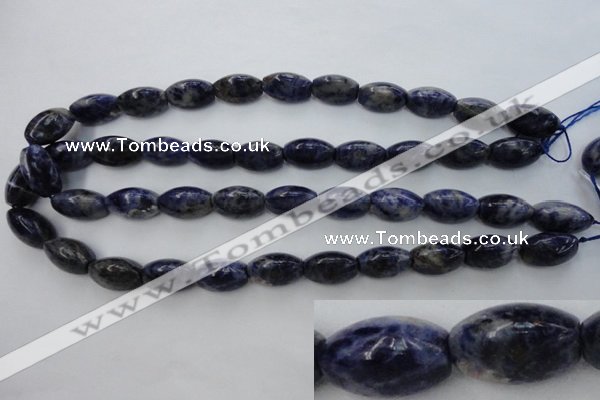 CSO359 15.5 inches 11*18mm trihedron natural sodalite beads