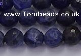 CSO603 15.5 inches 10mm faceted round sodalite gemstone beads