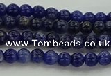 CSO631 15.5 inches 4mm round sodalite gemstone beads wholesale