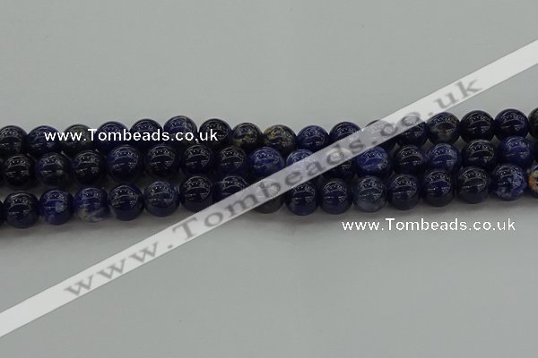 CSO634 15.5 inches 10mm round sodalite gemstone beads wholesale