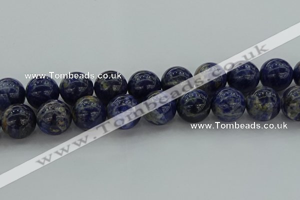 CSO639 15.5 inches 20mm round sodalite gemstone beads wholesale