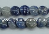 CSO80 15.5 inches 12mm flat round sodalite gemstone beads wholesale