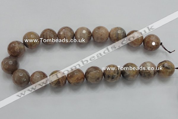 CSS102 15.5 inches 20mm faceted round natural sunstone beads wholesale