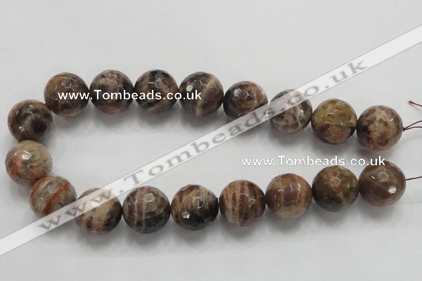 CSS103 15.5 inches 22mm faceted round natural sunstone beads wholesale