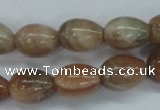 CSS248 15.5 inches 12*16mm teardrop natural sunstone beads