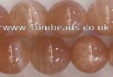 CSS706 15.5 inches 10mm round natural golden sunstone beads