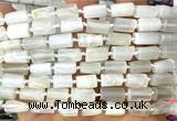 CTB1272 15 inches 6*10mm - 8*12mm faceted tube white moonstone beads
