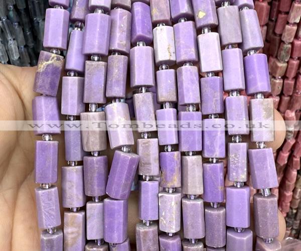 CTB1303 15 inches 6*10mm - 8*12mm faceted tube phosphosiderite beads