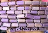 CTB1303 15 inches 6*10mm - 8*12mm faceted tube phosphosiderite beads