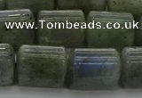CTB513 15.5 inches 10*13mm triangle AB grade labradorite beads wholesale