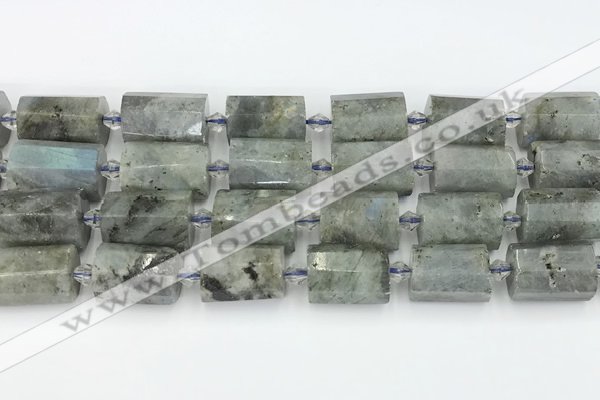 CTB878 13*25mm - 14*19mm faceted tube labradorite beads