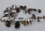 CTD1618 Top drilled 15*25mm - 30*45mm freeform botswana agate beads