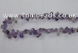 CTD1641 Top drilled 10*14mm - 10*18mm faceted nuggets amethyst beads