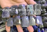 CTD2105 Top drilled 20*28mm - 22*32mm faceted freeform labradorite beads