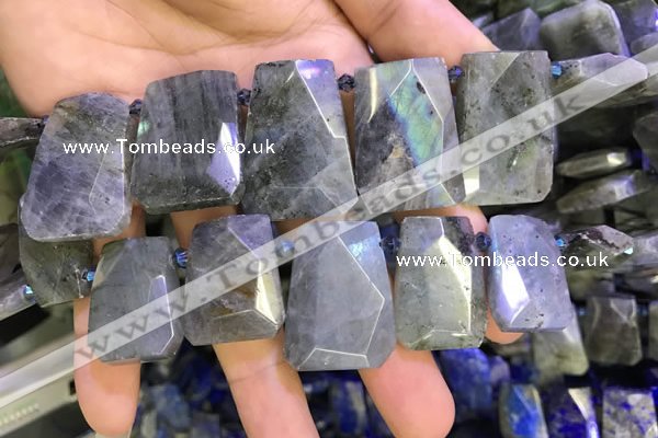 CTD2105 Top drilled 20*28mm - 22*32mm faceted freeform labradorite beads