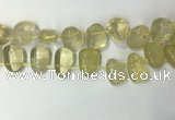 CTD2142 Top drilled 15*25mm - 18*25mm freeform lemon quartz beads