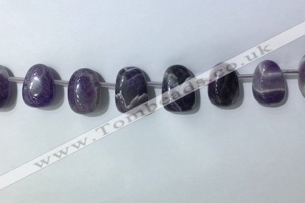 CTD2144 Top drilled 15*25mm - 18*25mm freeform dogtooth amethyst beads