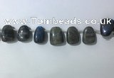 CTD2151 Top drilled 15*25mm - 18*25mm freeform labradorite beads