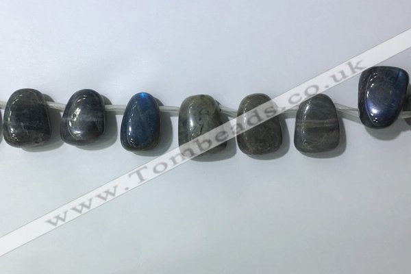 CTD2151 Top drilled 15*25mm - 18*25mm freeform labradorite beads