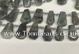 CTD2275 Top drilled 16*28mm - 20*30mm faceted freeform labradorite beads