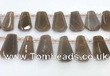 CTD2335 Top drilled 16*18mm - 20*30mm faceted freeform moonstone beads