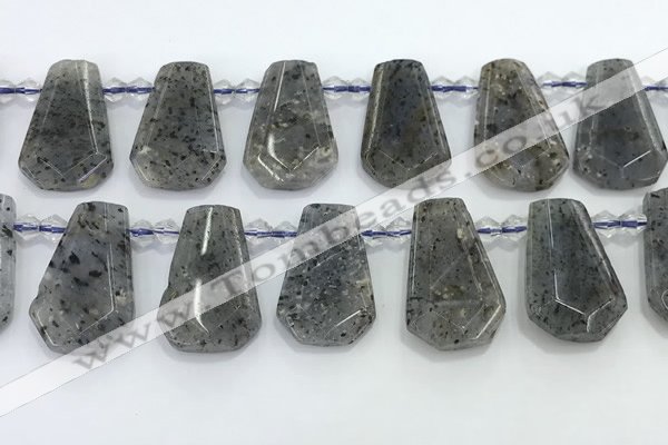 CTD2352 Top drilled 16*18mm - 20*30mm freeform moss quartz beads