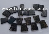 CTD2657 Top drilled 25*35mm - 30*40mm trapezoid sea sediment jasper beads
