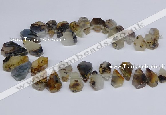 CTD2732 Top drilled 15*20mm - 25*35mm freeform montana agate beads