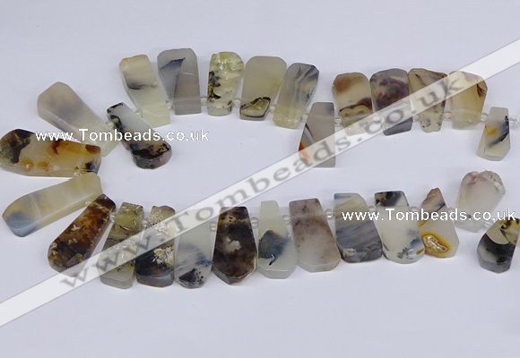 CTD2733 Top drilled 15*25mm - 20*35mm freeform montana agate beads