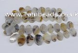 CTD2825 Top drilled 15*25mm - 25*35mm freeform Montana agate beads