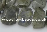 CTD3573 15.5 inches 15*20mm - 18*25mm freeform labradorite beads