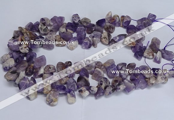 CTD3602 Top drilled 10*14mm - 13*18mm nuggets dogtooth amethyst beads