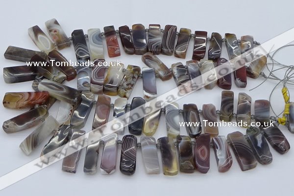 CTD3641 Top drilled 8*20mm - 10*35mm sticks botswana agate beads