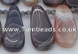 CTD3647 Top drilled 10*20mm - 15*45mm freeform matte botswana agate beads