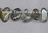 CTD3672 Top drilled 5*8mm - 10*14mm freeform plated white crystal beads