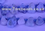 CTD3859 Top drilled 6*8mm - 10*12mm freeform larimar beads