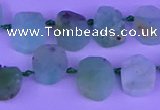 CTD3894 Top drilled 10*12mm - 10*14mm freeform Australia chrysoprase beads