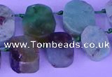 CTD3895 Top drilled 12*16mm - 13*18mm freeform Australia chrysoprase beads