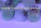 CTD3896 Top drilled 12*16mm - 13*18mm freeform Australia chrysoprase beads