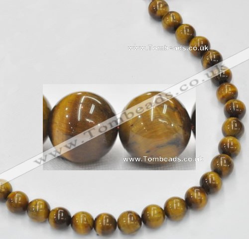 CTE08 15.5 inches 12mm round yellow tiger eye beads Wholesale