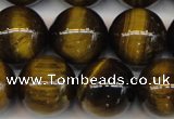 CTE1215 15.5 inches 16mm round AB grade yellow tiger eye beads