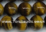 CTE1221 15.5 inches 12mm round AB+ grade yellow tiger eye beads