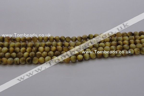 CTE1411 15.5 inches 6mm round golden tiger eye beads wholesale